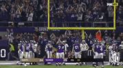 Minnesota Vikings Football GIF by NFL