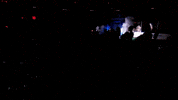 NewYorkRiptide new york lacrosse nll riptide GIF