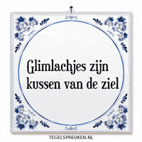 Humor Troost GIF by Tegelspreuken.nl
