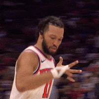 Celly GIF by New York Knicks