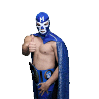 maskadorestacoshopaz wrestling wrestler lucha lucha libre Sticker