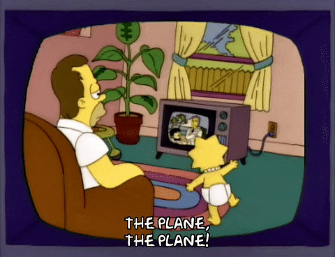 season 3 homer GIF