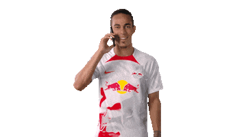 Yussuf Poulsen Hello Sticker by RB Leipzig