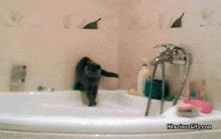 time wife GIF