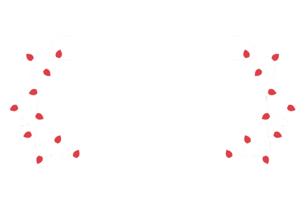 Christmas Bozic Sticker by care4climate