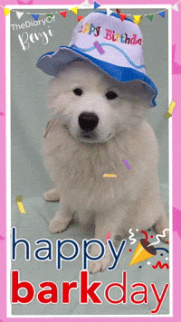 Sto Lat Birthday GIF