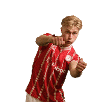 Football Driving Sticker by Bristol City FC