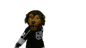 Ice Hockey Sport Sticker by NHL