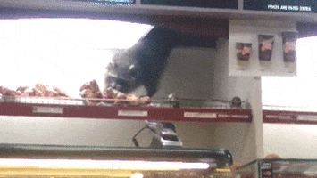 mission impossible GIF