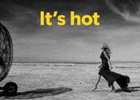 Cool Down Summer Fun GIF by Blake Lively Fan