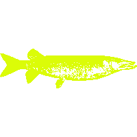 Fish Fishing Sticker by Beast Lure Co.