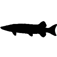 Fish Fishing Sticker by Beast Lure Co.