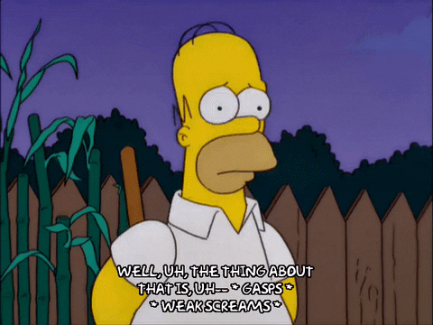 homer simpson episode 21 GIF