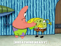 season 5 episode 3 GIF by SpongeBob SquarePants