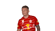 Red Bull Celebration Sticker by FC Red Bull Salzburg
