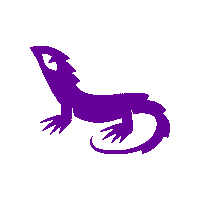 Iguana Galapagos Sticker by Mundo Galápagos