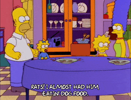 homer simpson episode 20 GIF