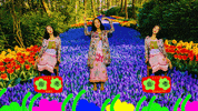 suleeofficial dance flower show concert GIF