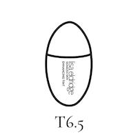 Beauty Face Sticker by Lisa Eldridge