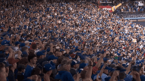 Blue Jays Baseball GIF by Toronto Blue Jays
