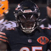 Chicago Bears Football GIF