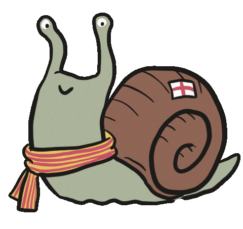 Snail Caracol Sticker
