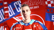 Robin Kaplan GIF by HC Dynamo Pardubice