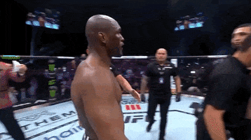 Mixed Martial Arts Sport GIF by UFC