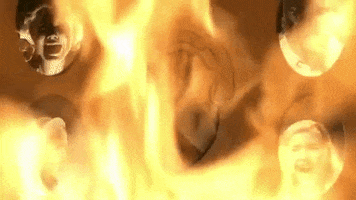 tv show fox GIF by ScreamQueens