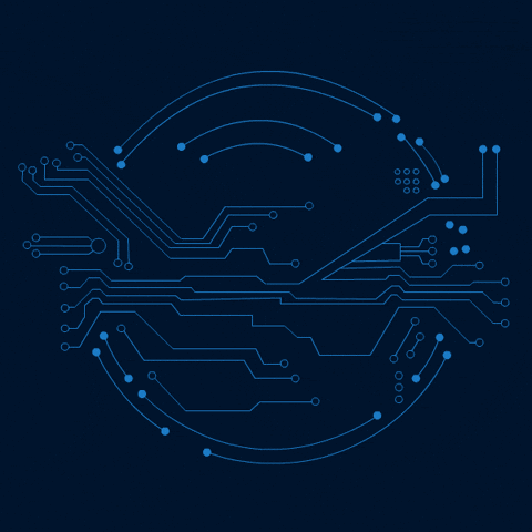 Social Media Post GIF by Pudgy Penguins