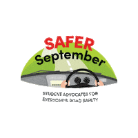 Saddnz driving road new zealand roads Sticker