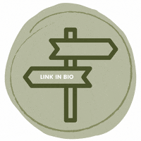 TheNewJourney travel link blog link in bio GIF