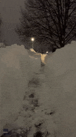 Dog Plays Fetch in Western New York Snow Trench