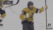 Happy Stanley Cup GIF by NHL