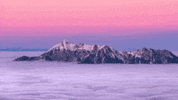 infaso cloud infaso GIF