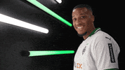 Germany Yes GIF by Bundesliga