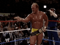 Hulk Hogan Sport GIF by WWE