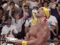 Hulk Hogan Sport GIF by WWE