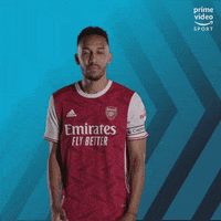 Premier League Football GIF by Prime Video