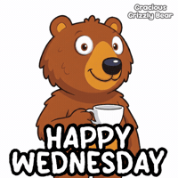 Happy Day Bear GIF by VeeFriends
