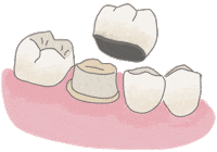 Dentist Odontologia Sticker