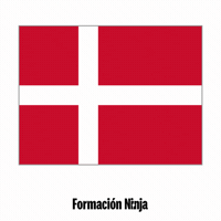 Denmark Flag GIF by Formación Ninja