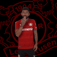 I Love You Kiss GIF by Bayer 04 Leverkusen