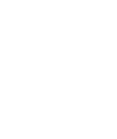Motocicletas Sdr Sticker by Triumph Brasil