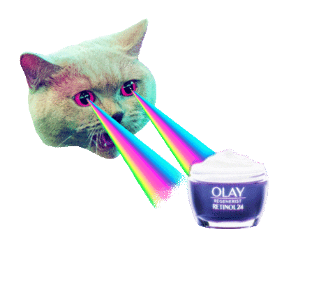 Cat Love Sticker by Olay
