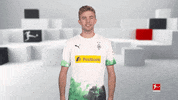 Line Up Reaction GIF by Bundesliga