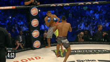mixed martial arts mma GIF by Bellator