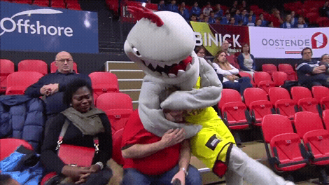 Game Fan GIF by Basketball Champions League