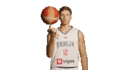 Serbia Fiba Sticker by sportmts