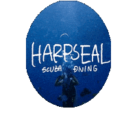 Harpseal Sticker by SNSI Japan